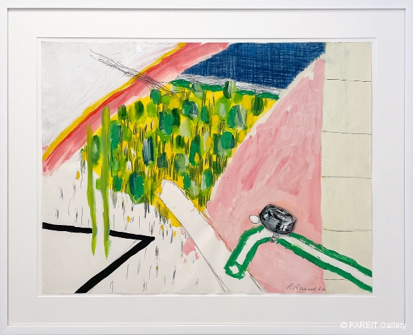 RAVEEL Roger - Fietsstuur